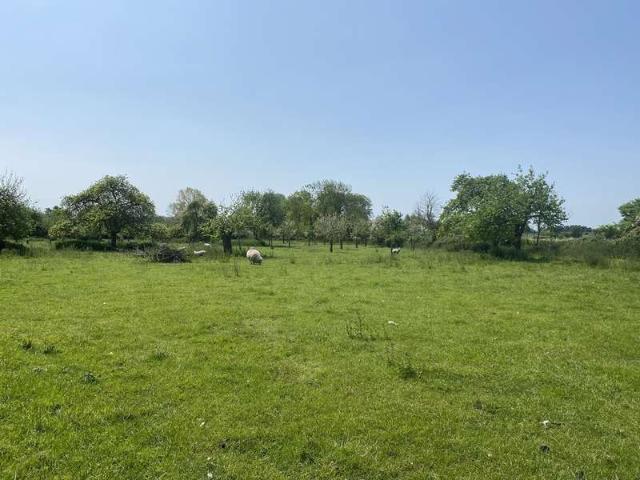 Farm for sale in Ashcott, Pedwell