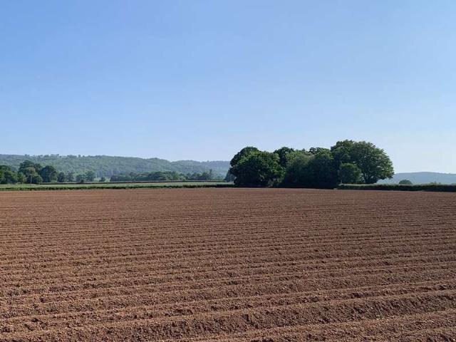 Farm for sale in Duddlestone, Pitminster