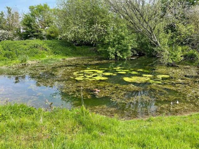 Farm for sale in Duddlestone, Pitminster