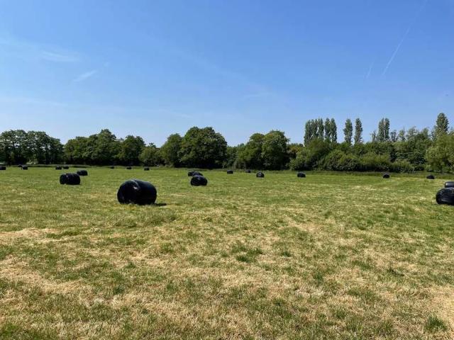 Farm for sale in Meare, Somerset