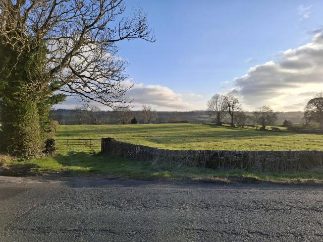 Land for sale