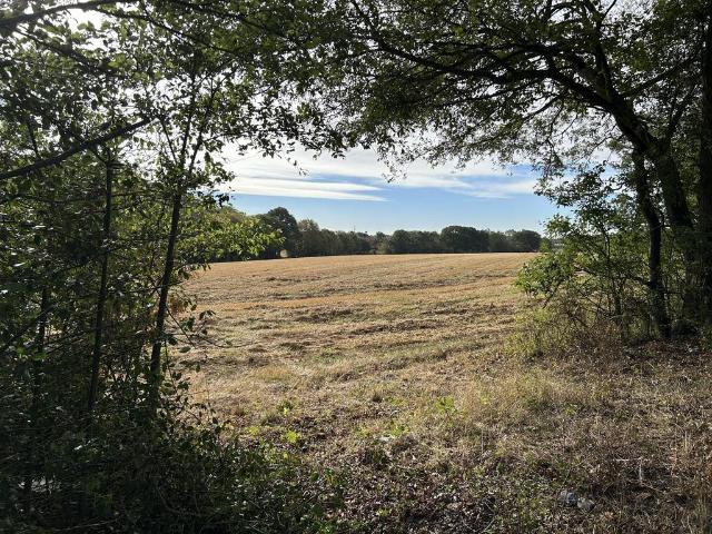 Land for sale in Chelmsford, Essex