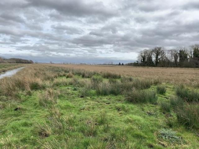 Land for sale in Rockland St. Mary, Burgh St Peter