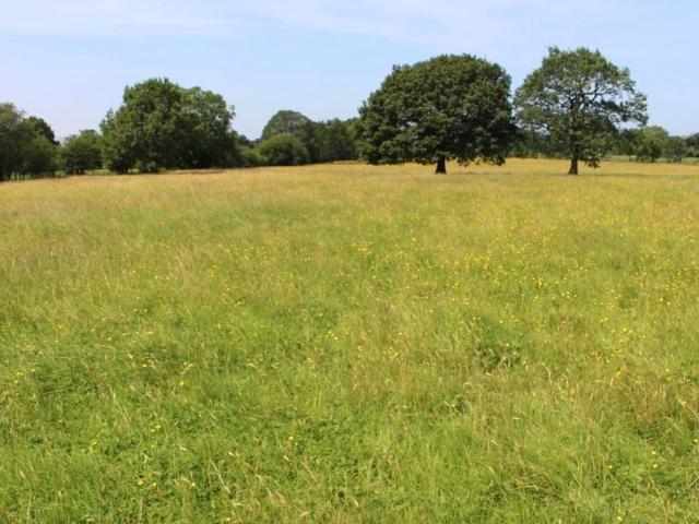 Land for sale in Balderstone, Paradise