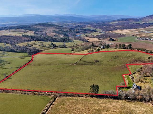 Land for sale in Lumphanan, Scotland