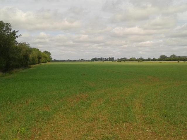 Land for sale in Barholm, Lincolnshire