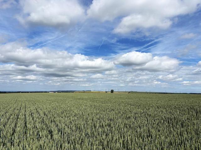 Land for sale in North Newbald, East Riding Of Yorkshire
