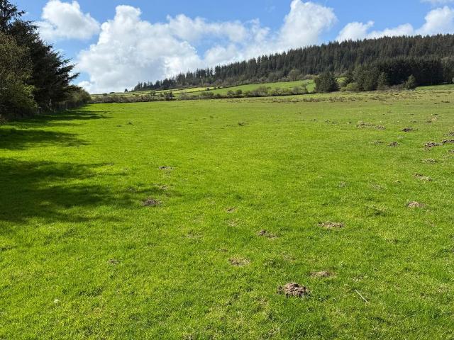 Land for sale in Rhosfach, Wales