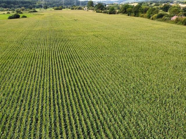 Land for sale in Budlake, Devon