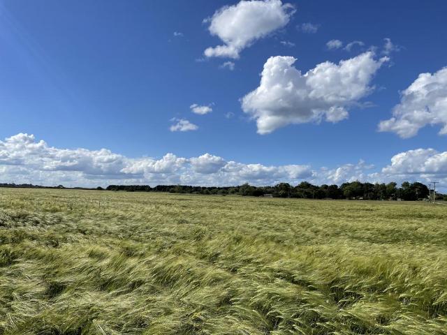 Land for sale in East Newton, Aldbrough