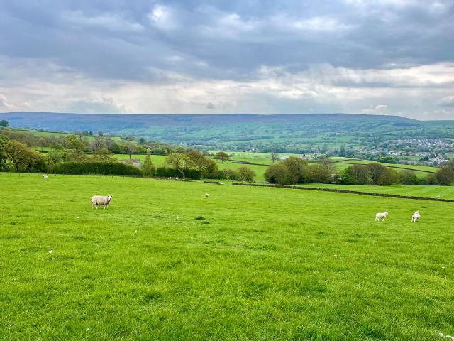 Land for sale in North Yorkshire