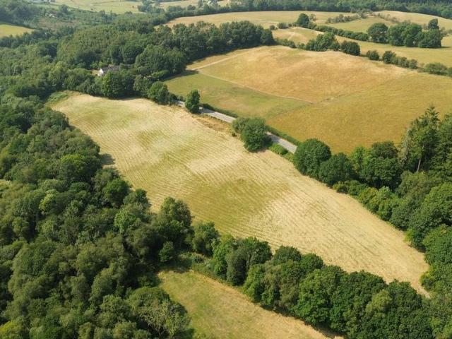 Land for sale in Lampeter