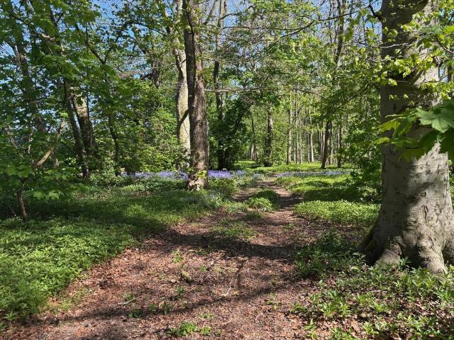 Land for sale in Branston, Ashby De La Launde