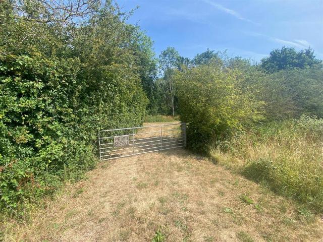 Land for sale in Low Marnham, Costhorpe
