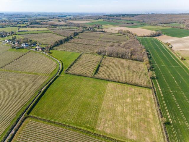 Land for sale in Old Wives Lees, Bridgefield
