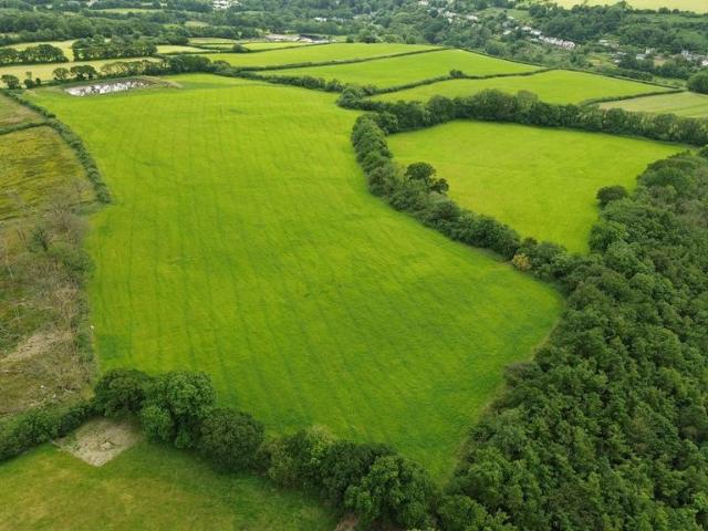 Land for sale in Cenarth, Wales