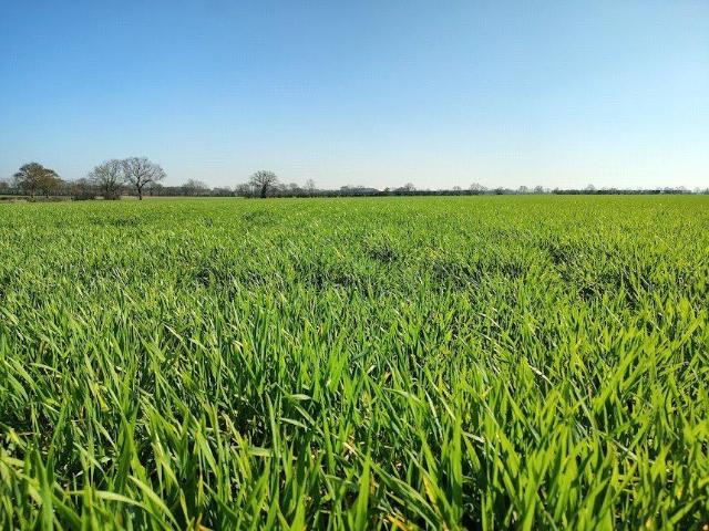 Land for sale in Bedingfield, Isle Of Man