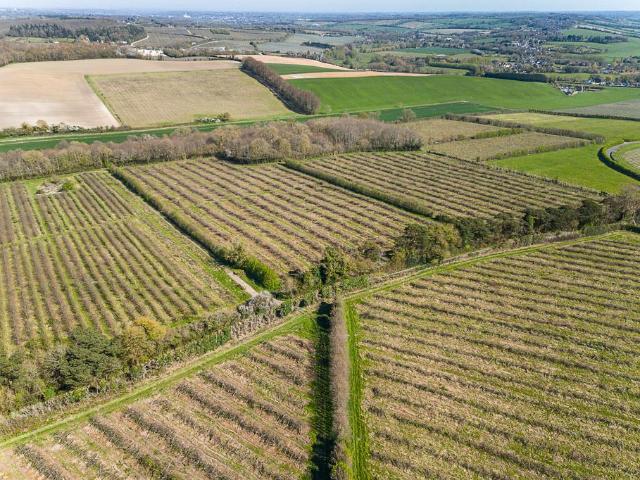 Land for sale in Old Wives Lees, Bridgefield