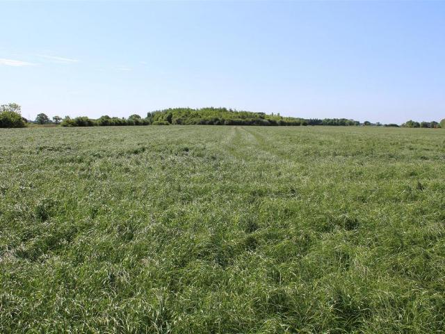 Land for sale in Breighton, East Riding Of Yorkshire