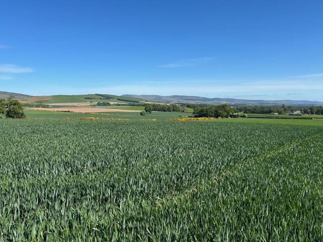 Land for sale in Brechin