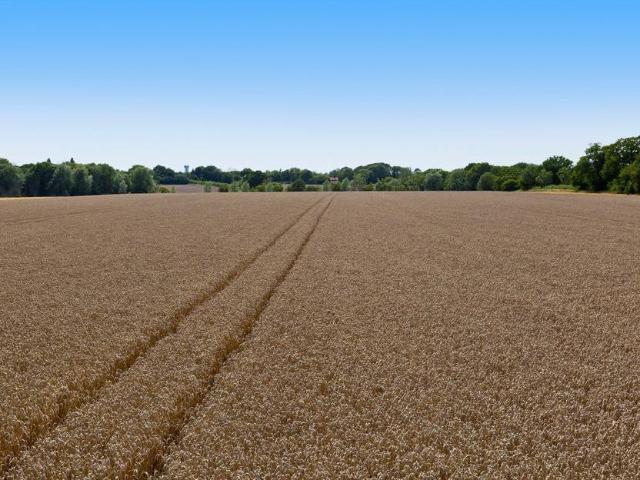 Land for sale in Bedingfield, Suffolk