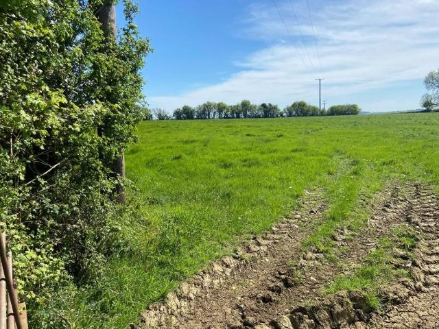 Land for sale in Stowey-Sutton, Hinton Blewett