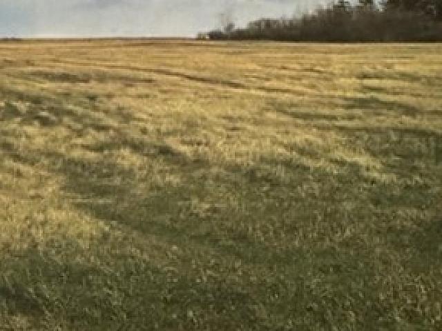 Land for sale in Alberta