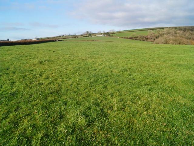 Land for sale in Newchurch and Merthyr, Wales