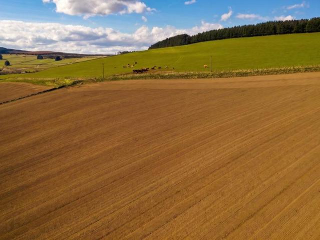 Land for sale in Scotland