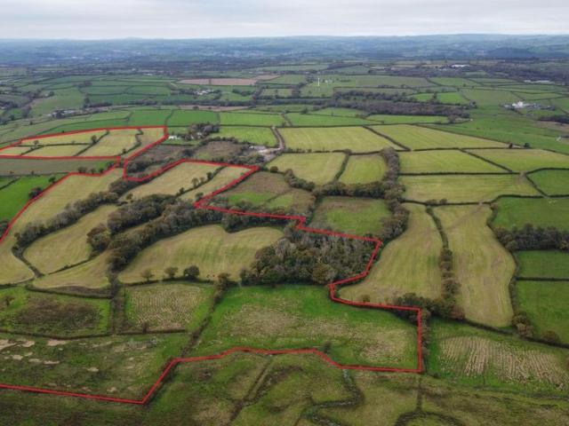 Land for sale in Llangyndeyrn, Wales