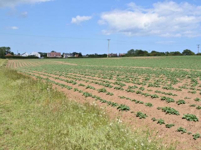 Land for sale in Skipsea Brough, Skipsea