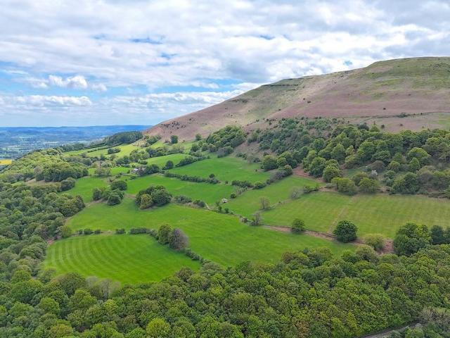 Land for sale in Llanfoist Fawr, Llanfoist