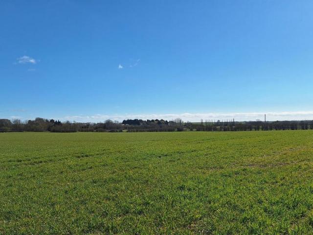 Land for sale in Maldon, Essex