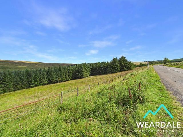 Land for sale