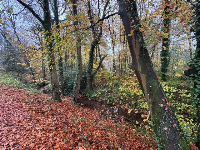 Land for sale in Wales