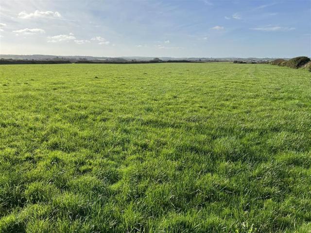 Land for sale in Brawdy, Wales