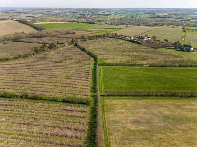 Land for sale in Old Wives Lees, Bridgefield