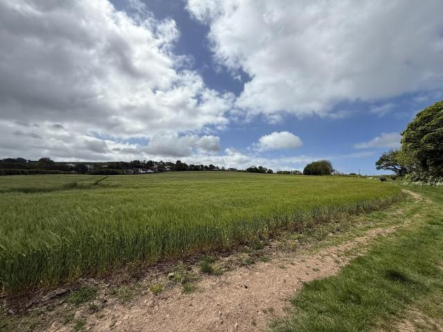 Land for sale in Llangwm, Wales