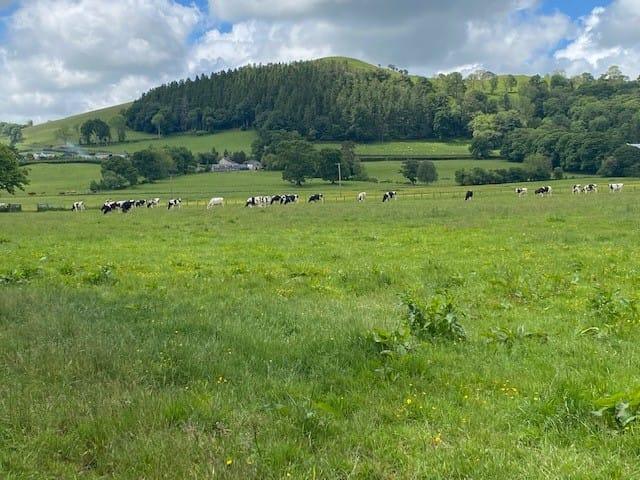 Land for sale in Llanfihangel Ystrad, Ystrad Aeron