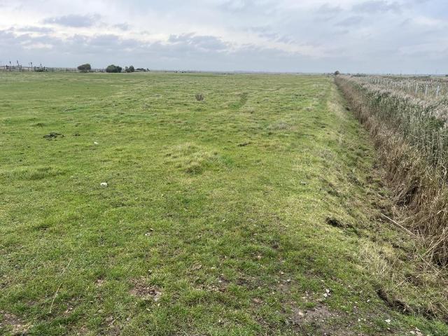 Land for sale in Mautby, Great Yarmouth