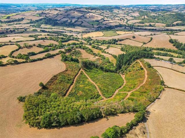 Land for sale in Newton St Cyres, Devon