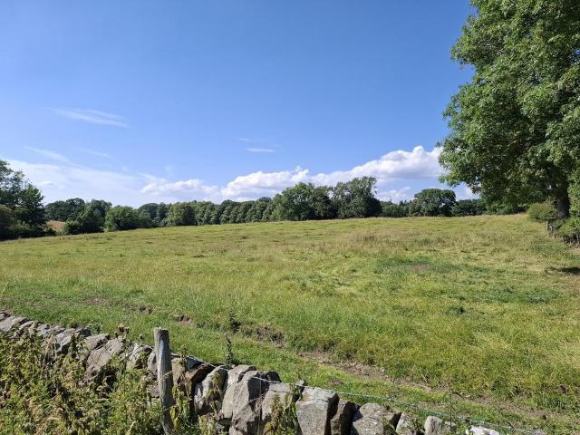 Land for sale