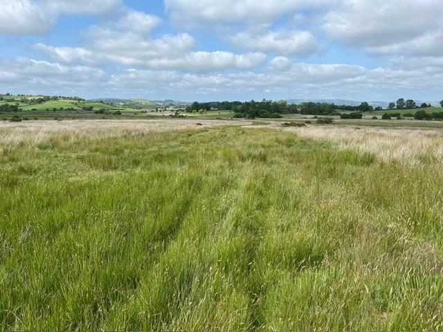 Land for sale in Tregaron, Wales