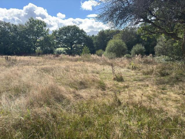 Land for sale in Llangadog, Capel Gwynfe