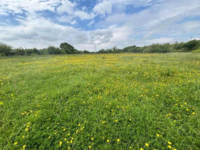 Land for sale in Trimsaran, Wales