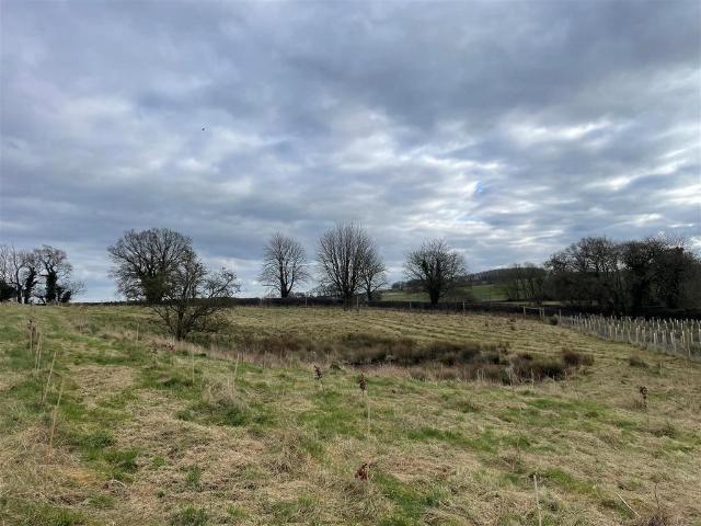 Land for sale in Belleau, Lincolnshire