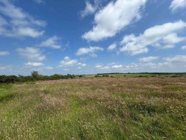 Land for sale in Llangeler, Rhos