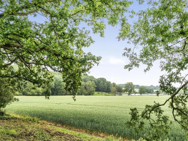 Land for sale in Duton Hill, Essex