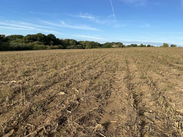 Land for sale in Burefield, North Norfolk