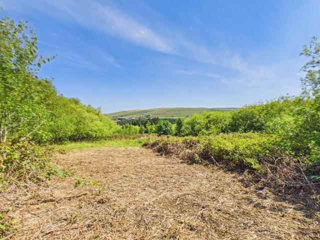 Land for sale in Newport, Pembrokeshire